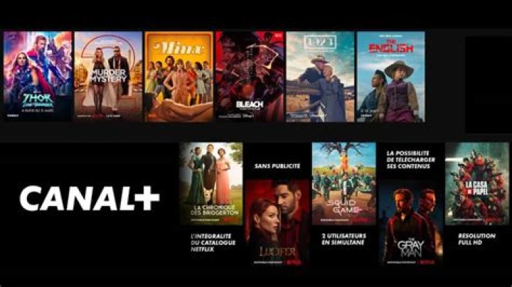 Explorer les genres d&rsquo;un catalogue de streaming