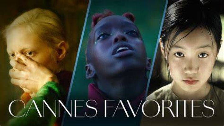 Filtrer un catalogue par cat&eacute;gories et genres