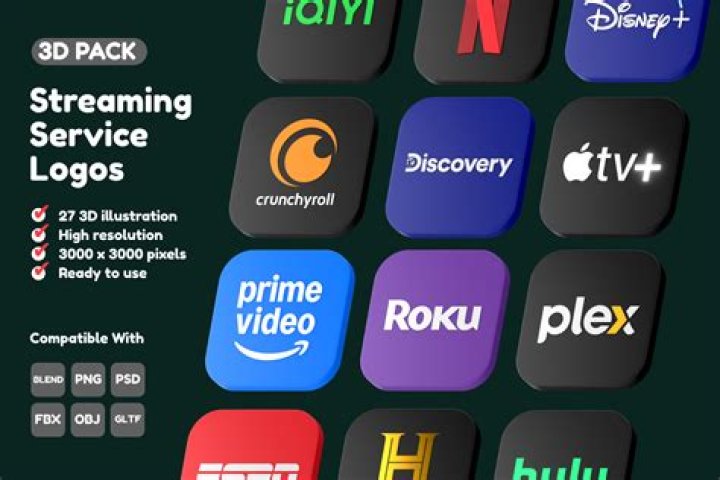 Interface d’une plateforme de streaming vidéo en ligne