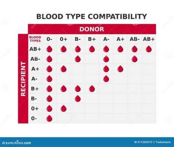 Bonnes pratiques pour éviter les erreurs de conversion