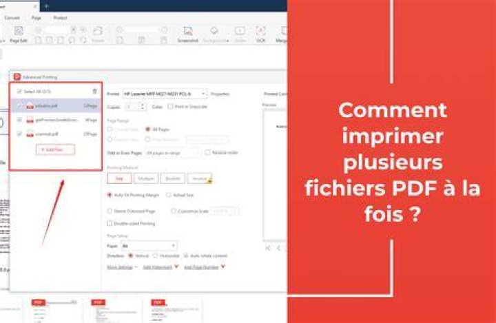 Configuration de conversion en lots : profils, nommage et traçabilité