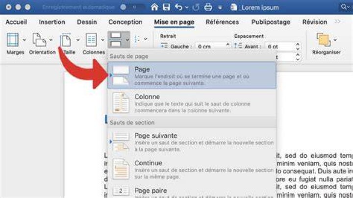 Options avanc&eacute;es pour pr&eacute;server la mise en page lors de la conversion DOCX vers PDF