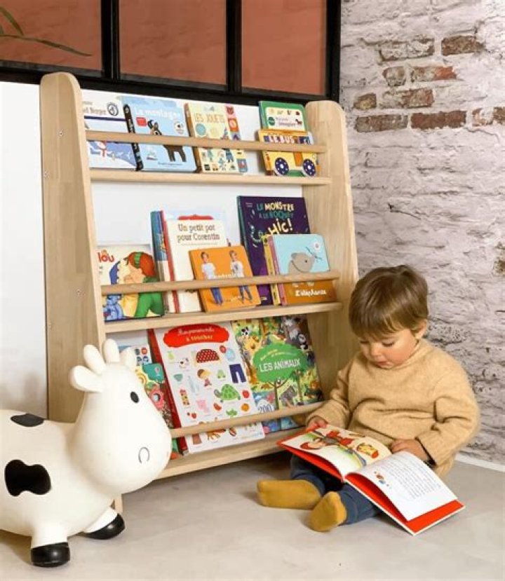 Organiser une bibliothèque multimédia : dossiers et tri